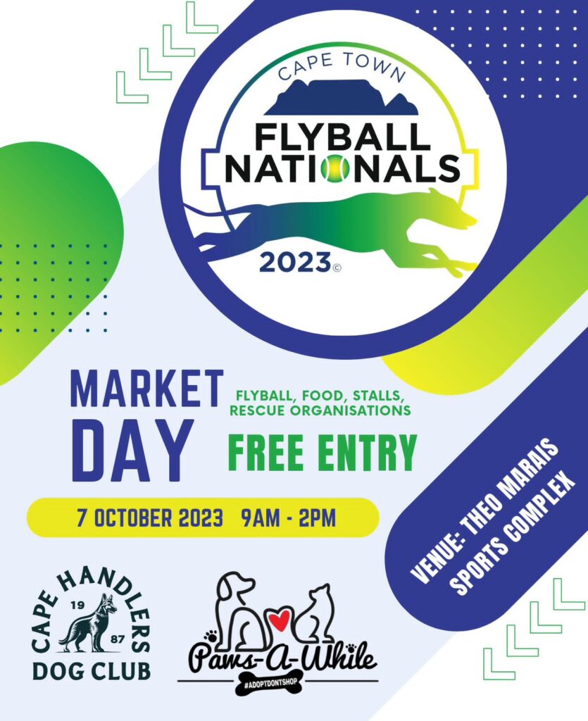 Flyball Nationals 2023