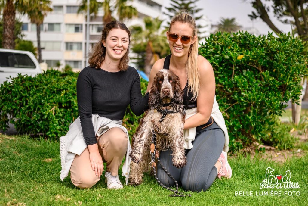 Paws-a-While – June 2024