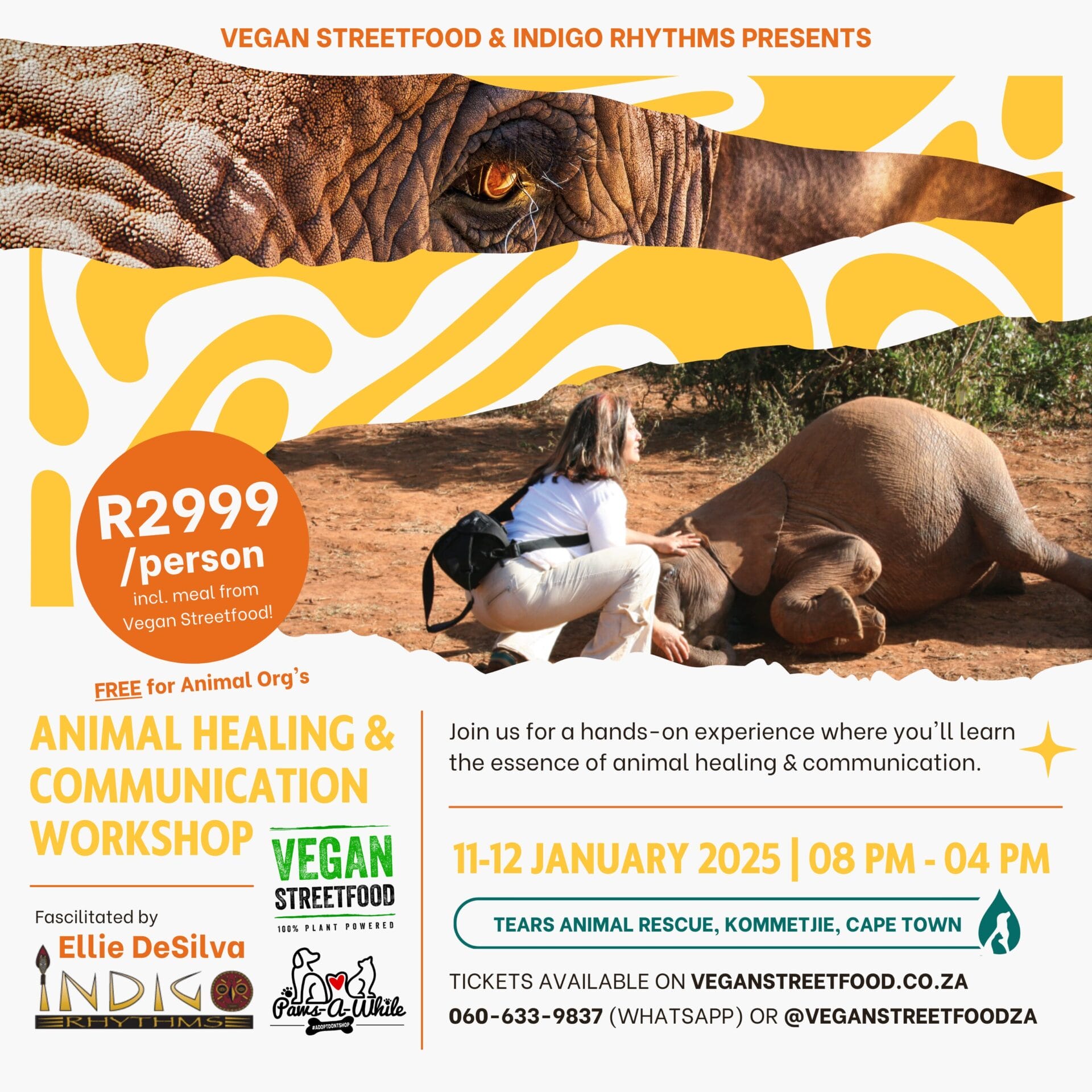 Animal Healing & Communication Workshop