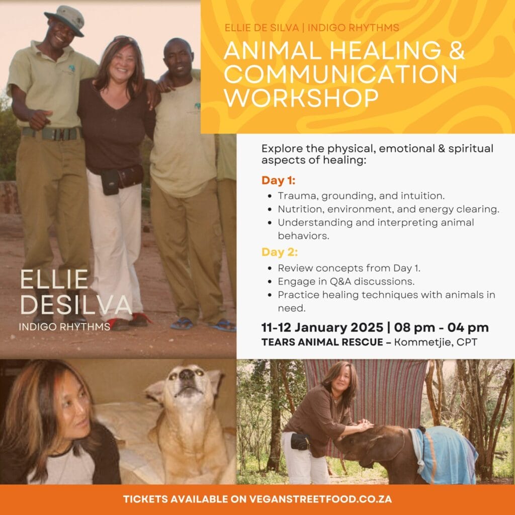 Animal Healing & Communication Workshop